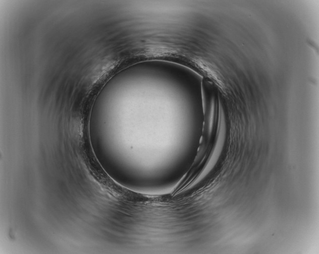 X0000095130539200712071310