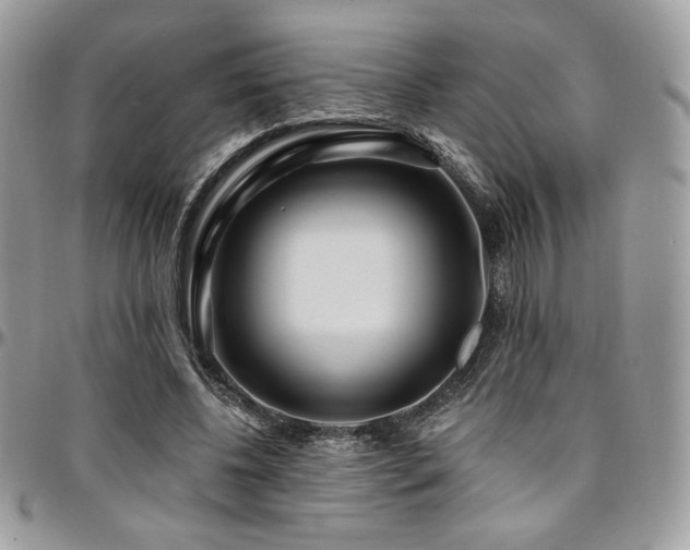 X0000095130540200712071310