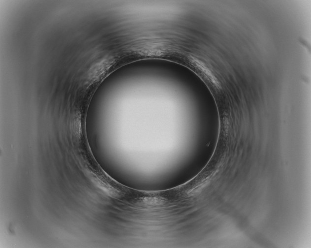 X0000095130541200712071310