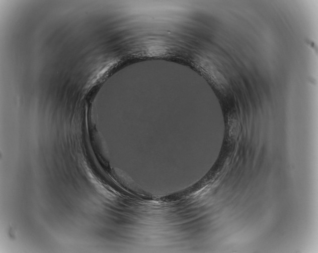 X0000095130542200712071310