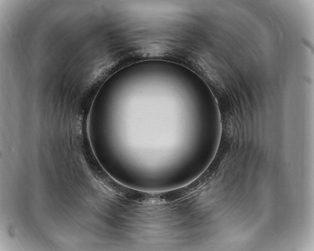 X0000095130543200712071310