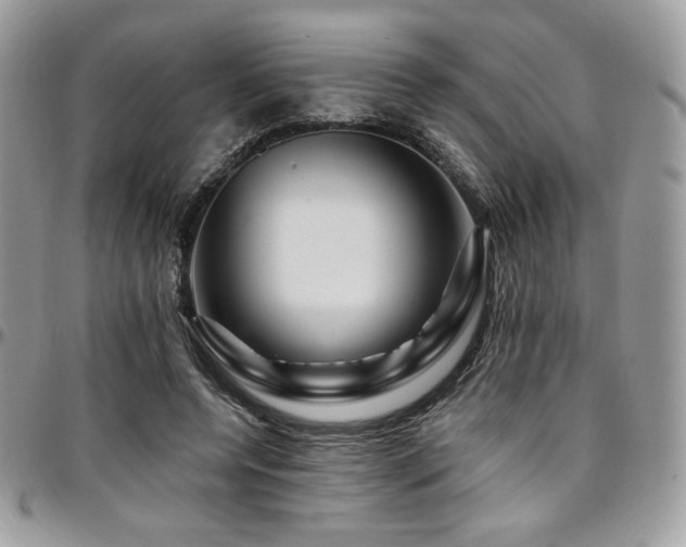 X0000095130544200712071310