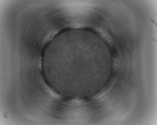 X0000095130545200712071310