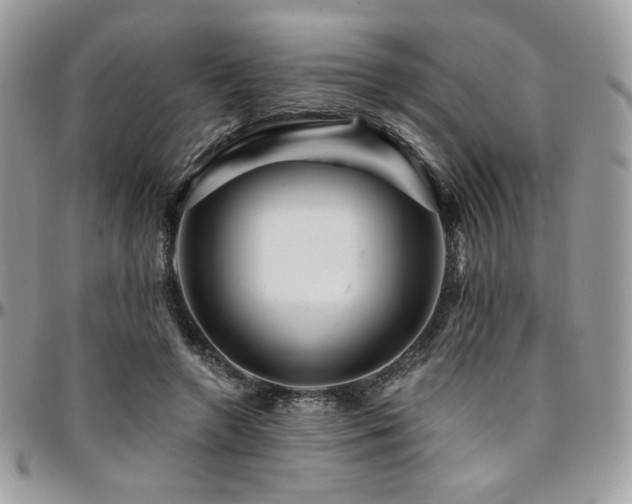 X0000095130546200712071310