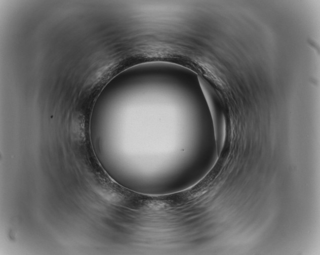 X0000095130547200712071310