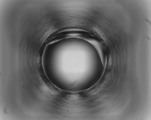 X0000095130548200712071310