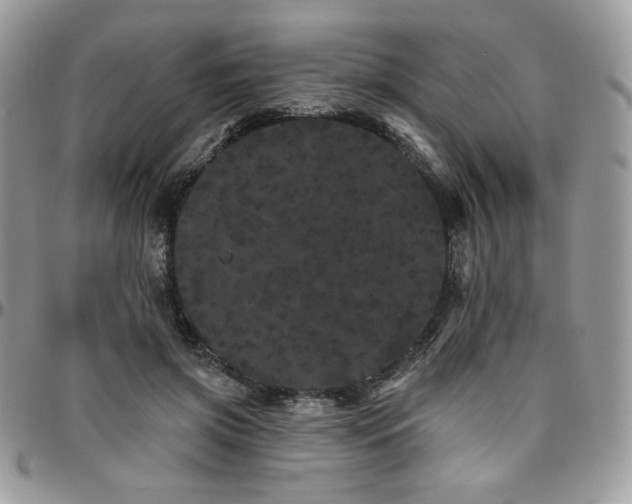 X0000095130549200712071310