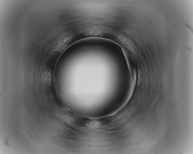 X0000095130551200712071310