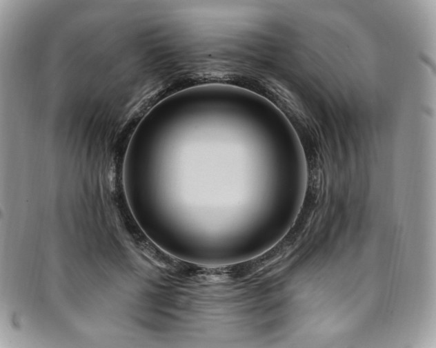 X0000095130552200712071310