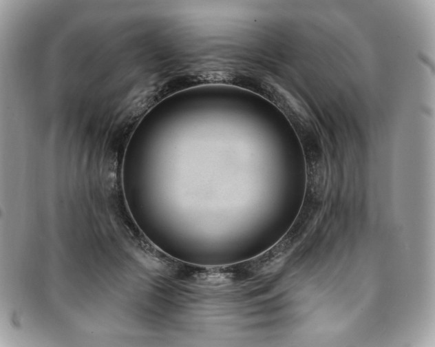 X0000095130553200712071310