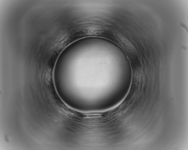 X0000095130554200712071310