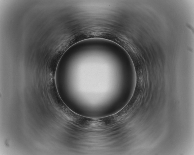 X0000095130555200712071310