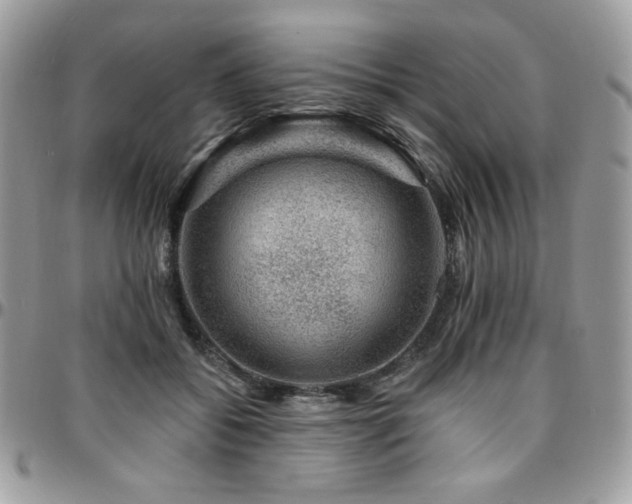 X0000095130556200712071310