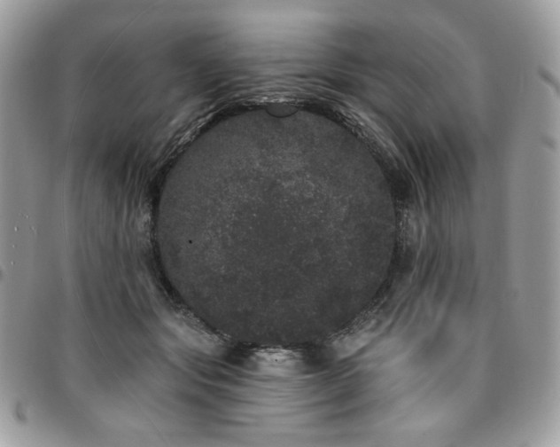 X0000095130557200712071310