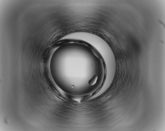 X0000095130558200712071310