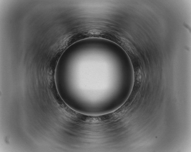 X0000095130559200712071310