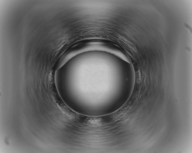 X0000095130560200712071310