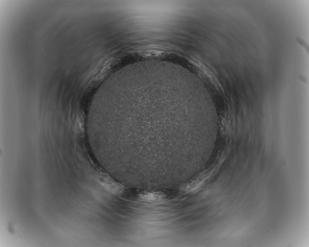 X0000095130561200712071310