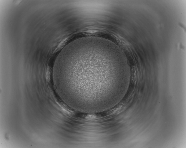 X0000095130562200712071310