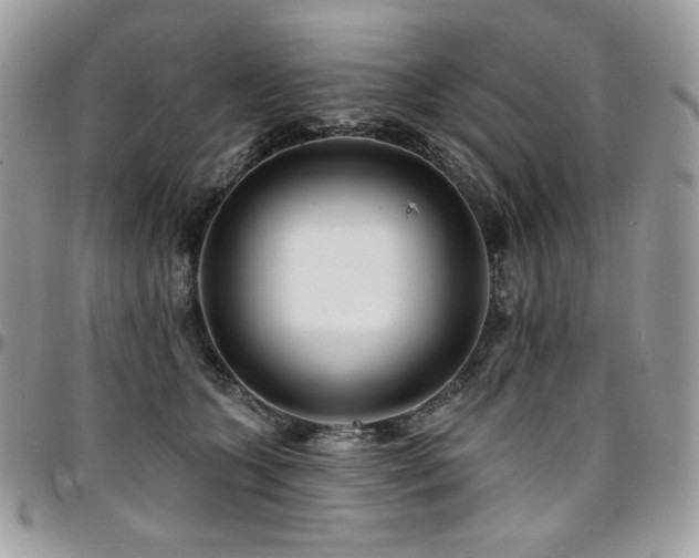 X0000095130563200712071311