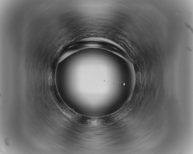 X0000095130564200712071311