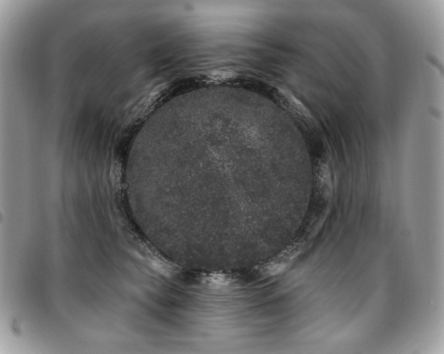 X0000095130565200712071311