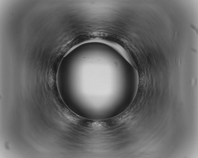 X0000095130566200712071311