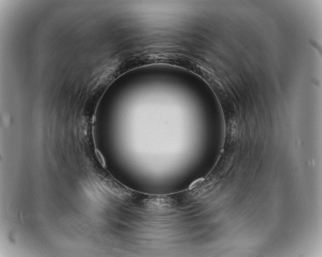 X0000095130567200712071311