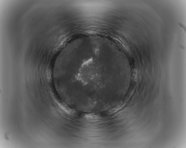 X0000095130568200712071311