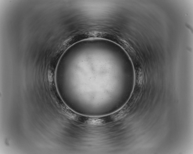 X0000095130569200712071311