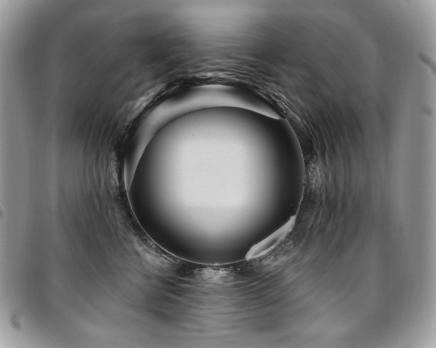 X0000095130570200712071311