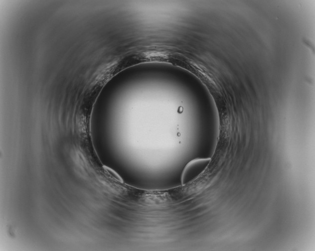 X0000095130571200712071311