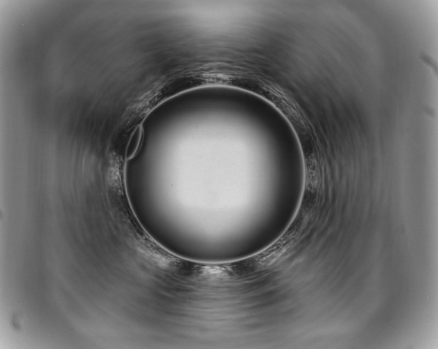 X0000095130573200712071311