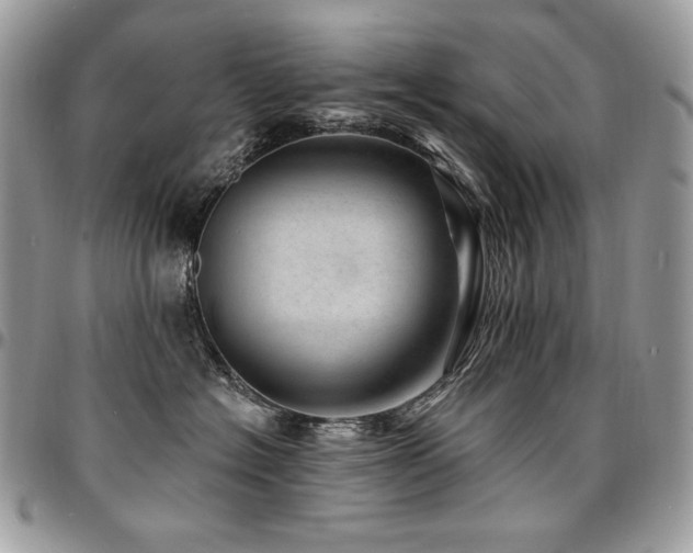 X0000095130574200712071311