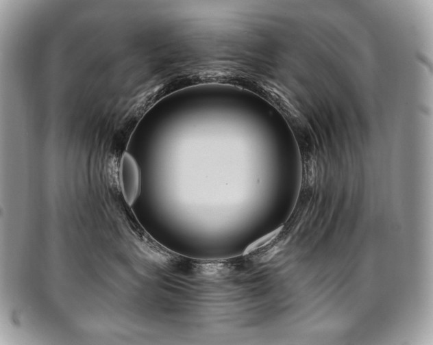 X0000095130575200712071311