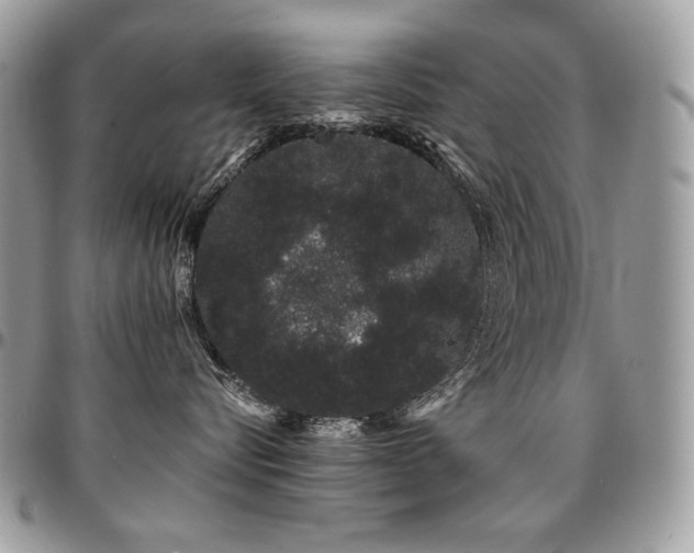 X0000095130576200712071311