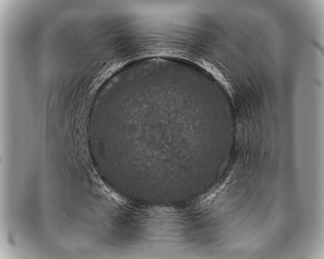 X0000095130577200712071310