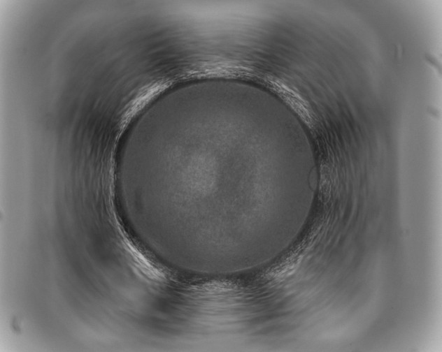 X0000095130578200712071310