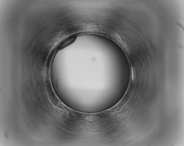 X0000095130579200712071310