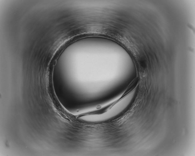 X0000095130580200712071310