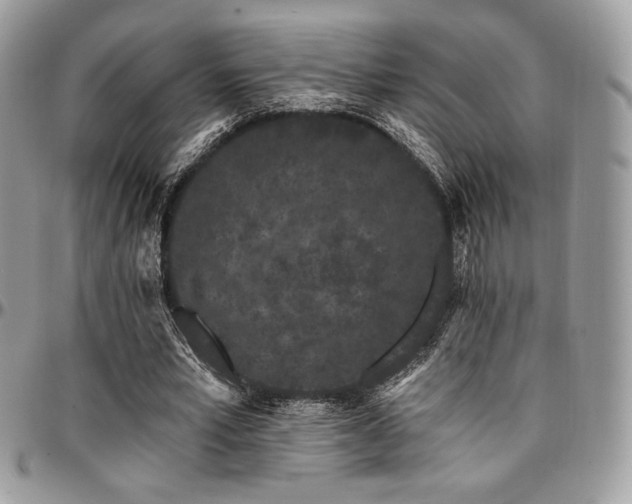 X0000095130581200712071310