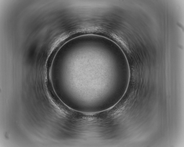 X0000095130582200712071310