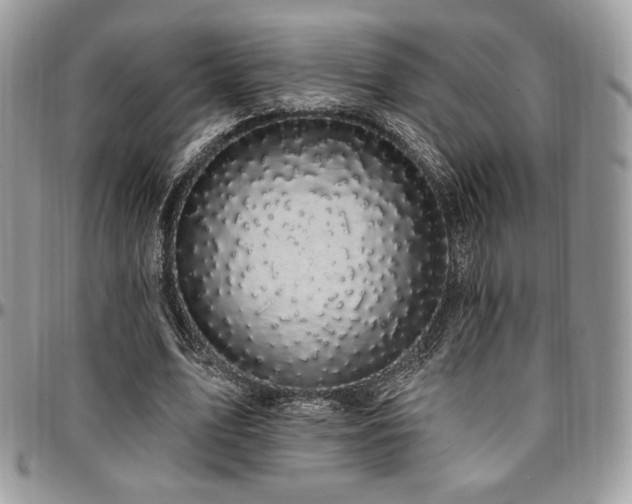 X0000095130583200712071310