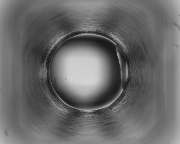 X0000095130584200712071310