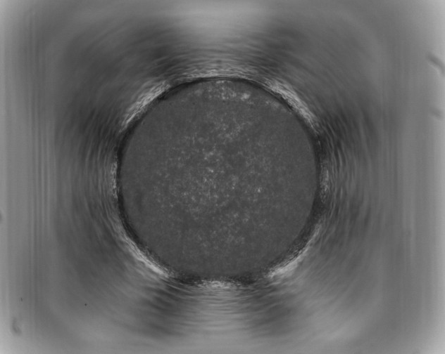 X0000095130585200712071310