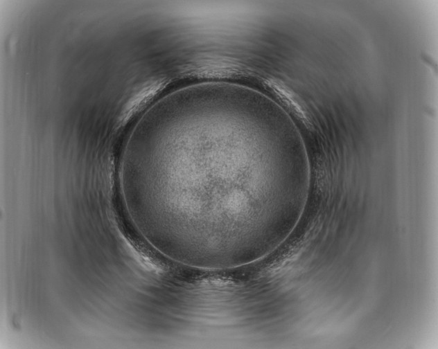 X0000095130586200712071310