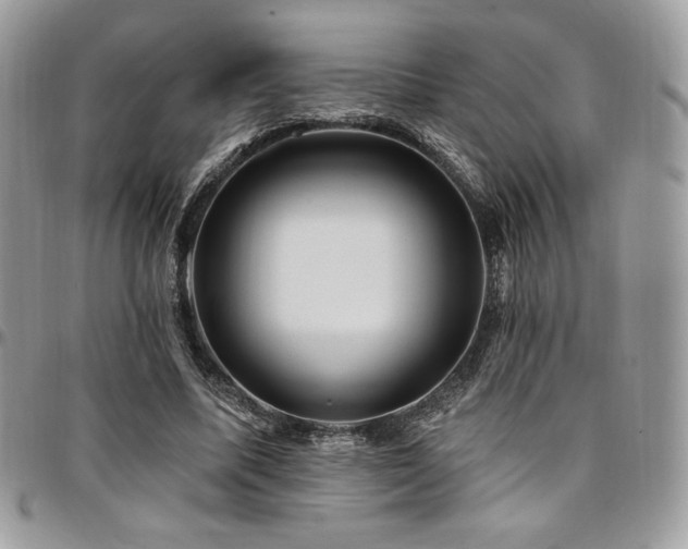 X0000095130587200712071310