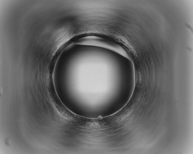 X0000095130588200712071310