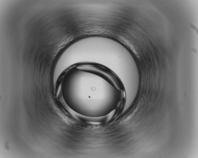 X0000095130589200712071310