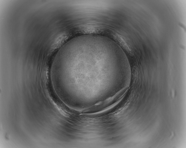 X0000095130590200712071310